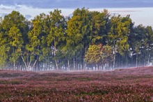 Zwischen Sommer und Winter