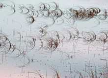 Gras im Loch