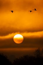 Sonnenaufgang