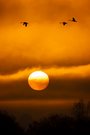 Sonnenaufgang