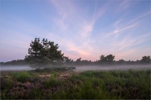 In der Heide