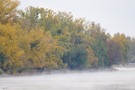 Elbnebel ....