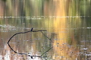 Im herbstlichen Ambiente