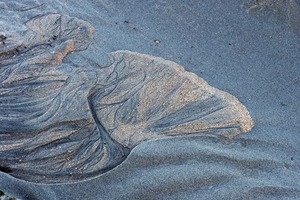 Achtung...der Seeadler kommt......