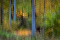 Herbstimpression