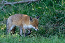 Voller Konzentration