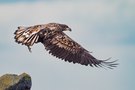 Abflug