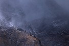 Überlebenskampf