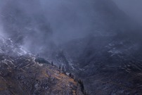 Überlebenskampf
