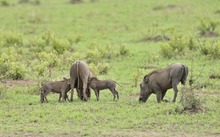 Die Drei von der Tankstelle