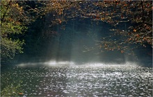 Lichtmomente
