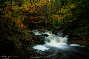 Herbstfarben der Hoëgne