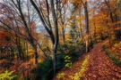 Satte Farben ...