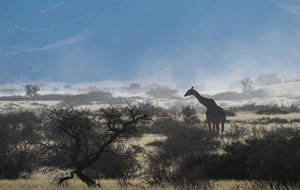 irgendwo im Nirgendwo