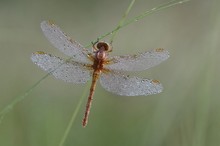Rückseite