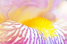 Ei Ei was kommt denn da hervor gekrochen ..