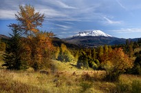 Herbst am Mt. St. Helens ...,