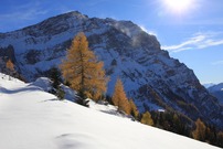 Sonne pur