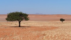 In einem fernen Land