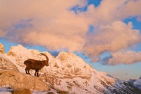 Spätherbst in den Bergen