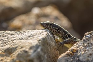 Einfach mal abhängen