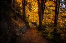 Goldener Oktober ...