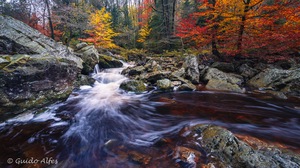 Da knallt der Herbst