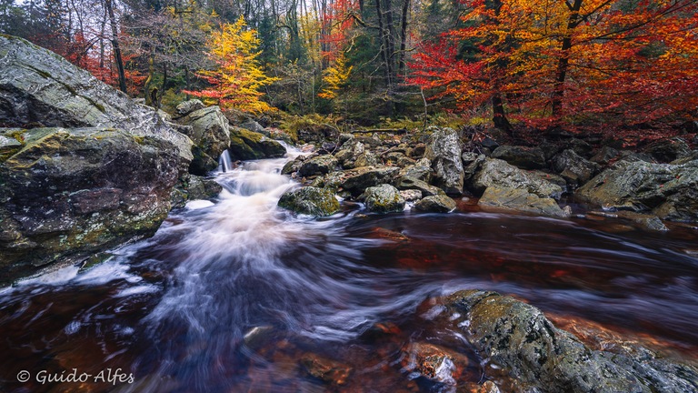 Da knallt der Herbst