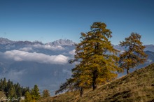 Herbst in den Alpen