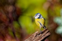 Ein erfreulicher Anblick