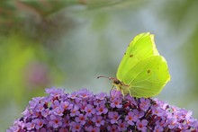 Mir ist nach Farbe.....