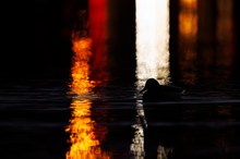 GLANZLICHTER BEI NACHT