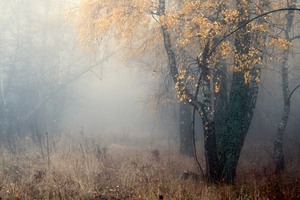 Blick ins Ungewisse ...