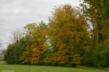 ein trüber Herbsttag