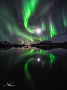 Polarlichter mit Mond - Lofoten