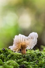 Erinnert mich an......