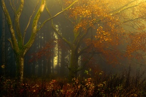 ... auf vertrauten Wegen