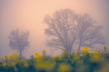 Frühlingsgefühle im November