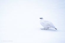 Gar nicht so leicht zu finden