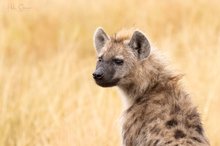 Schöner als ihr Ruf...