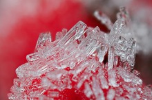 Ausflug in die Welt der kleinen Dinge