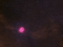 Kosmische Rose