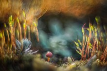 Der Weltaum: Unendliche Weiten...