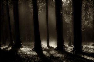 Sonne trifft auf Bodennebel ...