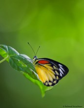 Erinnerung an warme Tage