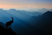 Momente der Dankbarkeit