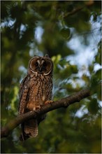 Die Nacht bricht an...