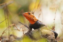 Mein Stein, mein Platz!