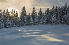 Wenn die Stille glänzt