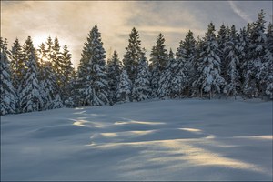 Wenn die Stille glänzt